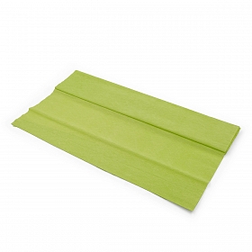Бумага креповая 50*200 см, 35 гр/м2, 2 шт, цв. 80-34 светло-зеленый, Astra&Craft