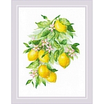 2054 Набор для вышивания Риолис 'Яркие лимоны' 30*40 см