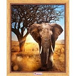 АЖ-1783 Алмазная мозаика 'Африканский слон' 40*50см