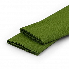 Бумага креповая 50*200 см, 35 гр/м2, 2 шт, цв. 80-710 черепахово-зеленый, Astra&Craft