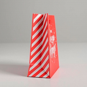 4843278 Пакет ламинированный вертикальный 'Подарок от Деда Мороза', S 12*15*5.5 см
