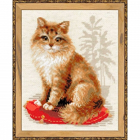 1525 Набор для вышивания Риолис 'Кошка домашняя', 24*30 см
