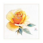 2-52 Набор для вышивания АЛИСА 'Акварельные розы. Желтая элегантная' 24*26см