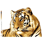 2151 Набор для вышивания 'Тигр' 45х33 см
